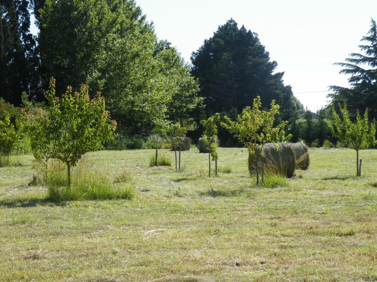 Maison De La Mascotte * Châteaurenard